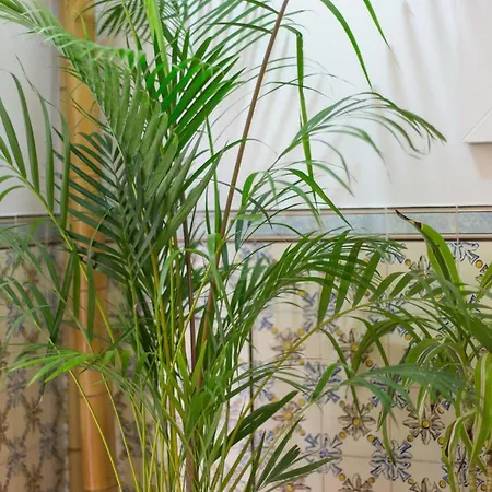 Soul Of - I Apartman *