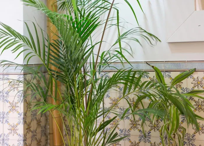 Soul Of - I شقة *